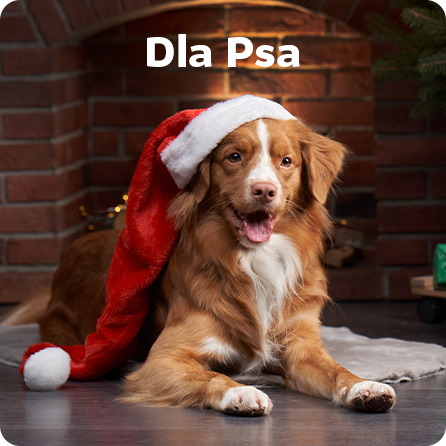 dla Psa