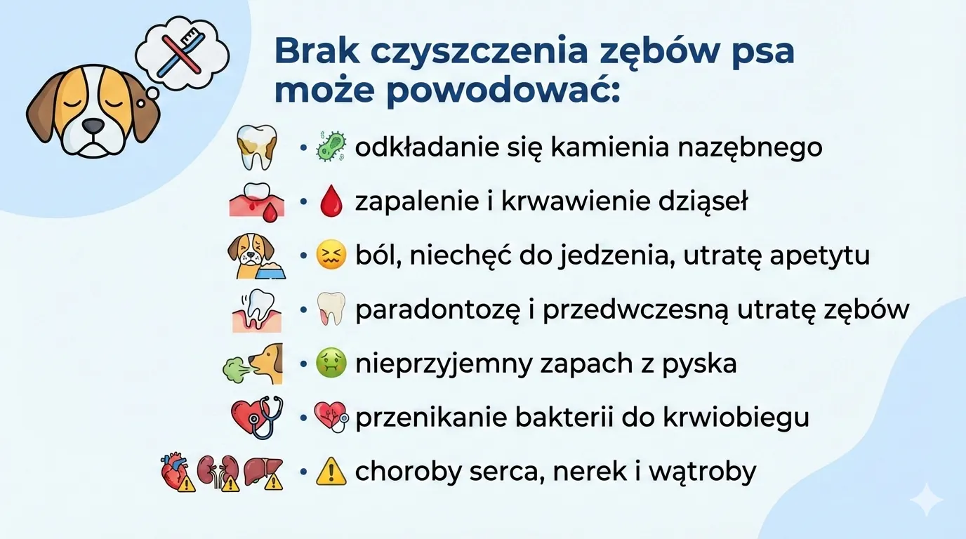Co może powodować brak czyszczenia zębów psa?