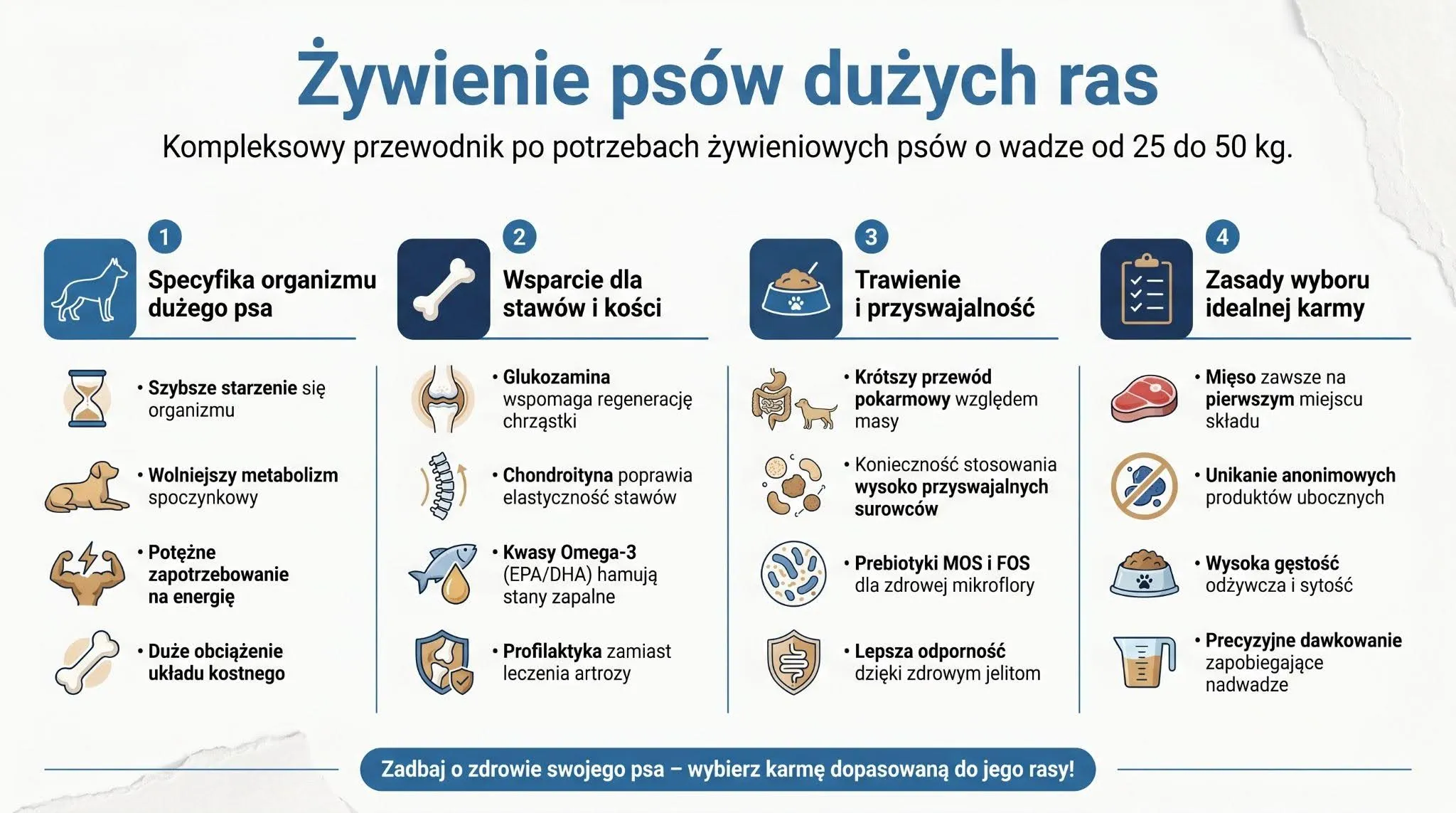 Żywienie psów dużych ras