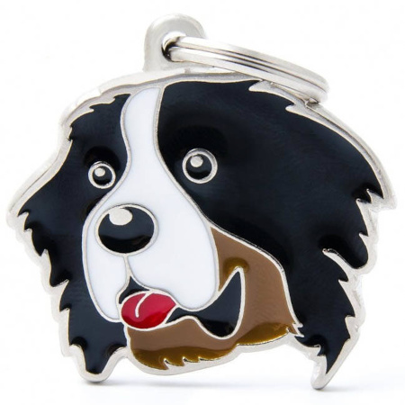 Zawieszka Adresówka Identyfikator z grawerem dla psa bernese moutian