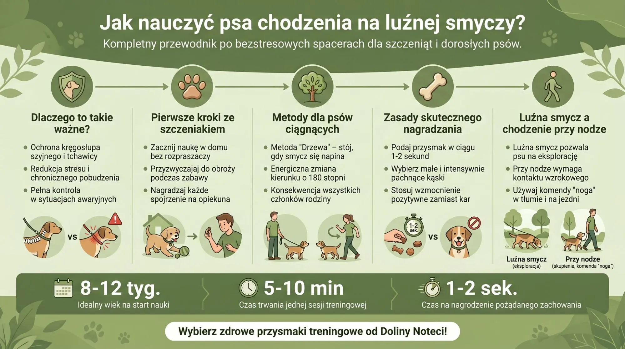 Jak nauczyć psa chodzenia na luźnej smyczy?