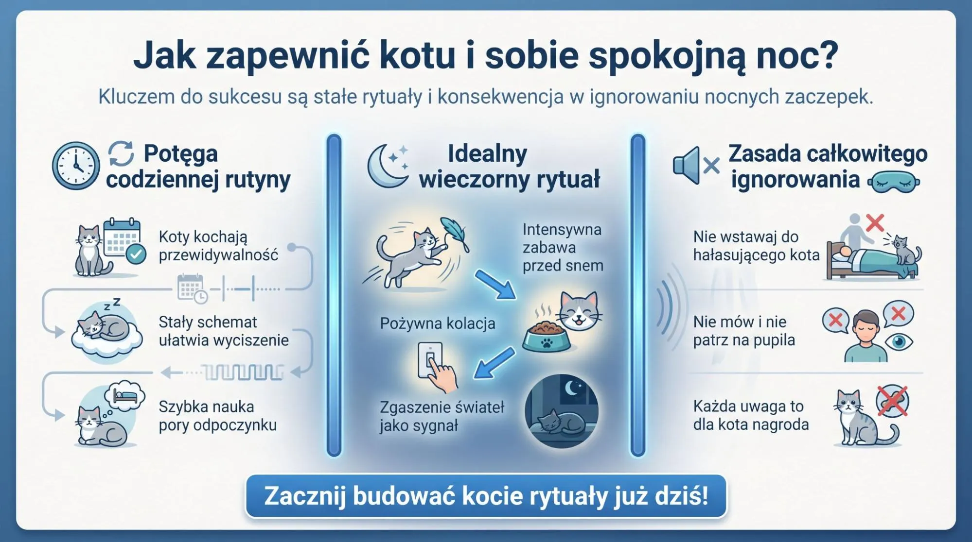 Jak zapewnić kotu i sobie spokojną noc?