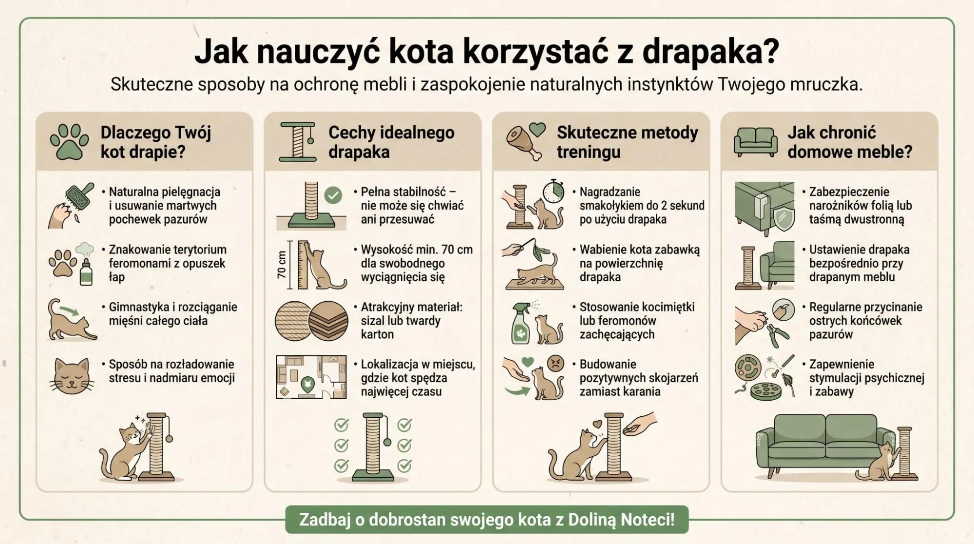 Jak nauczyć kota korzystać z drapaka? - Skuteczne sposoby