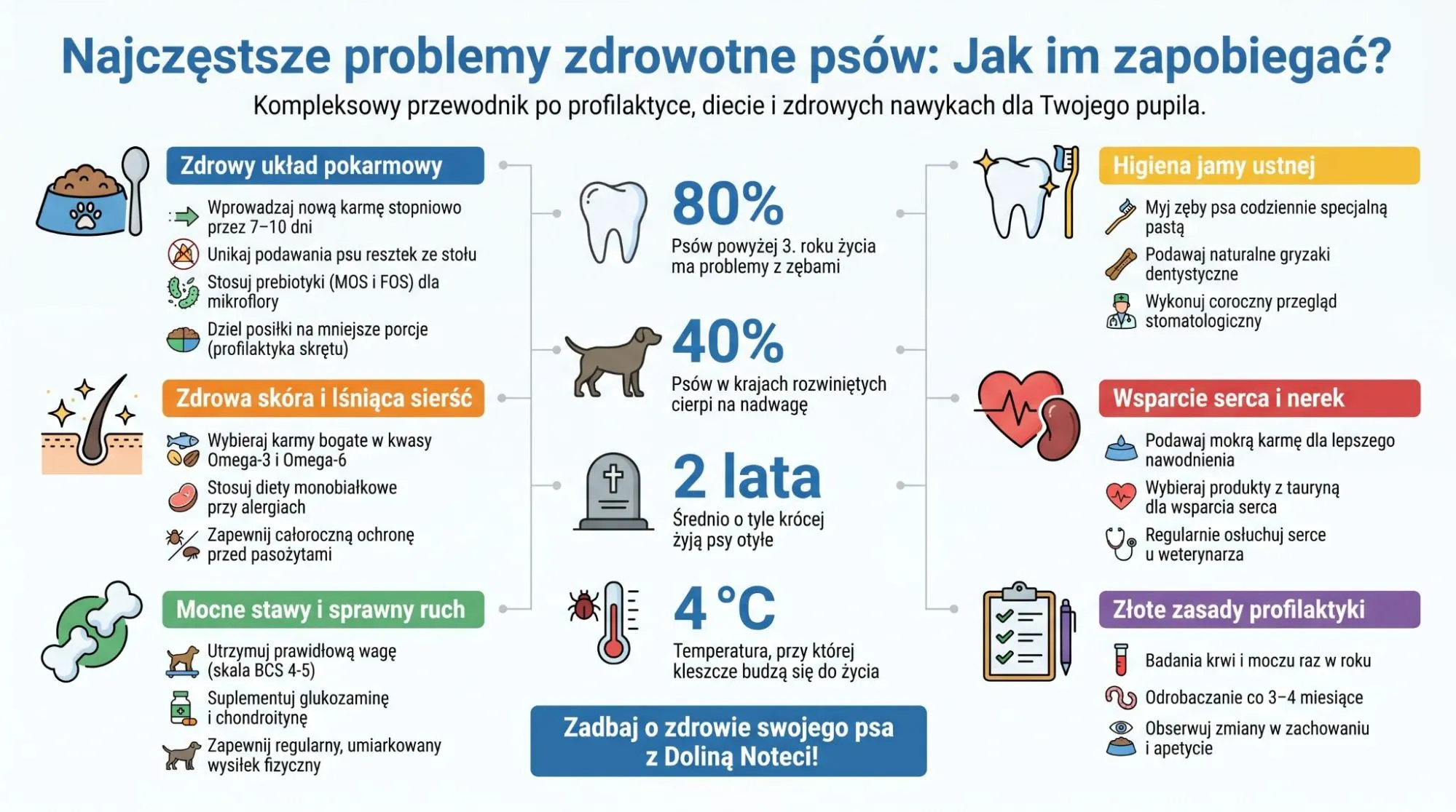 Najczęstsze problemy zdrowotne psów - jak im zapobiegać?