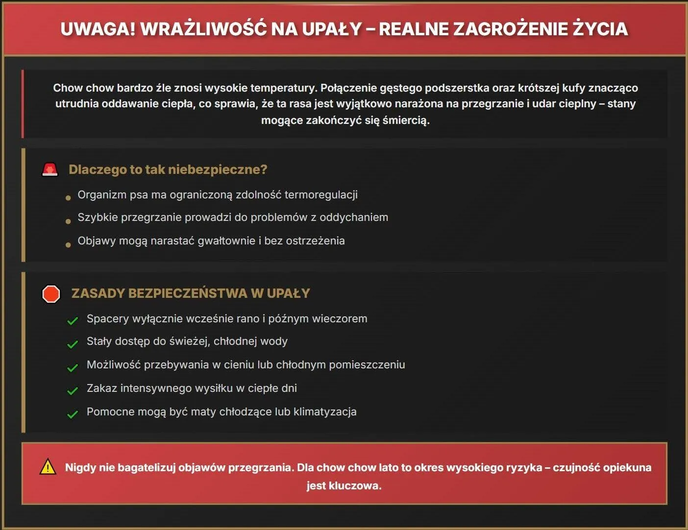 Zdrowie chow chow - wrażliwość na upały - realne zagrożenie życia