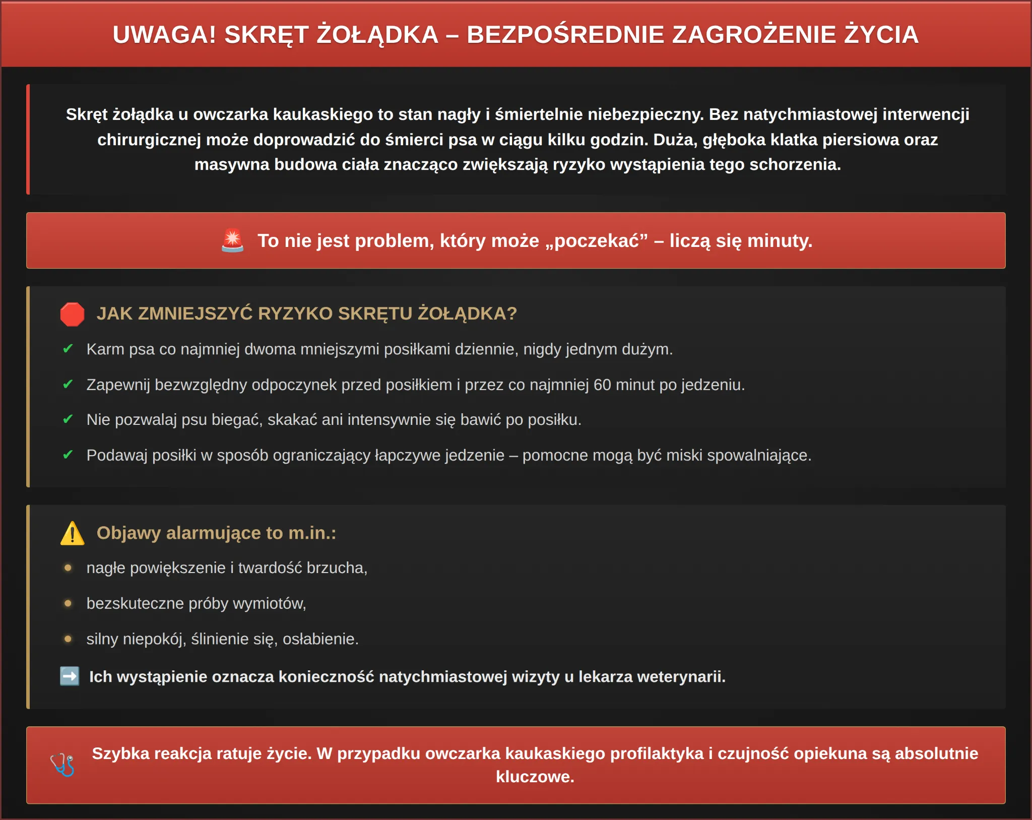 Zdrowie owczarka kaukaskiego - skręt żołądka - bezpośrednie zagrożenie życia