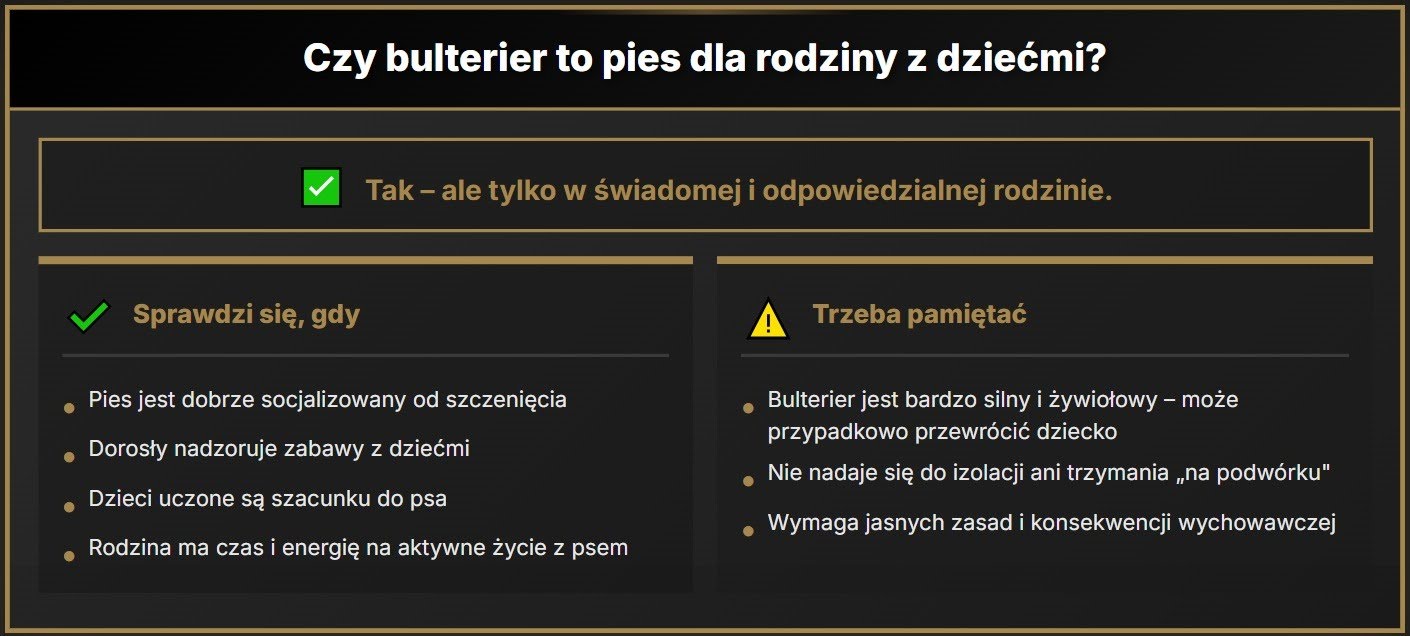 Czy bulterier to pies dla rodziny z dziećmi?