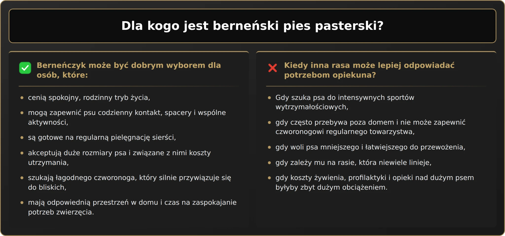 Dla kogo jest berneński pies pasterski?