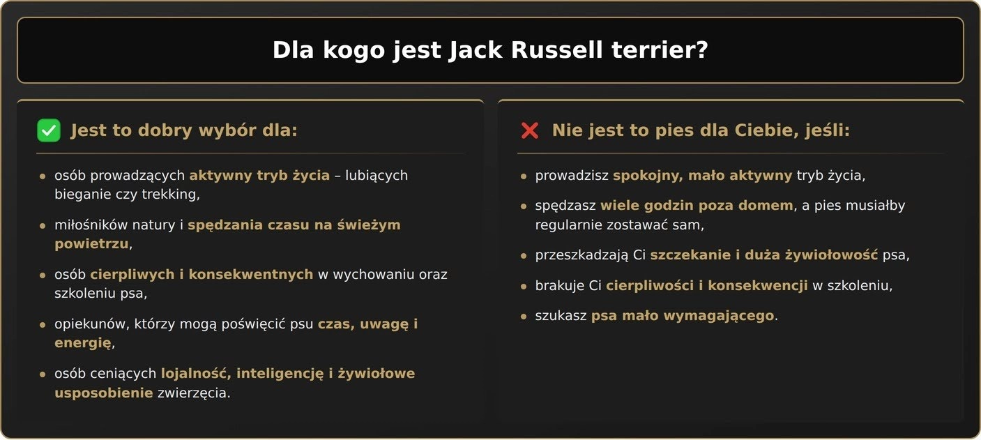 Dla kogo jest Jack Russell terrier?