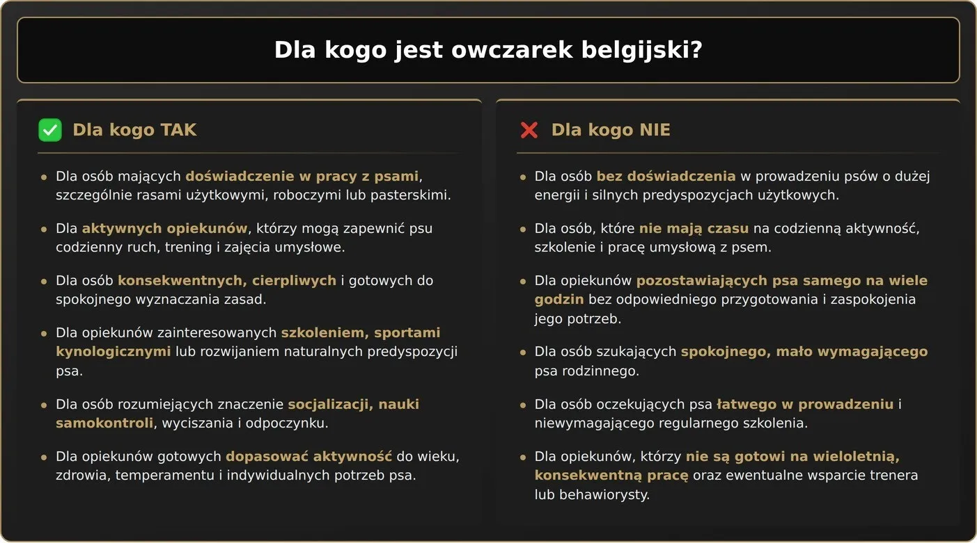 Dla kogo jest owczarek belgijski?