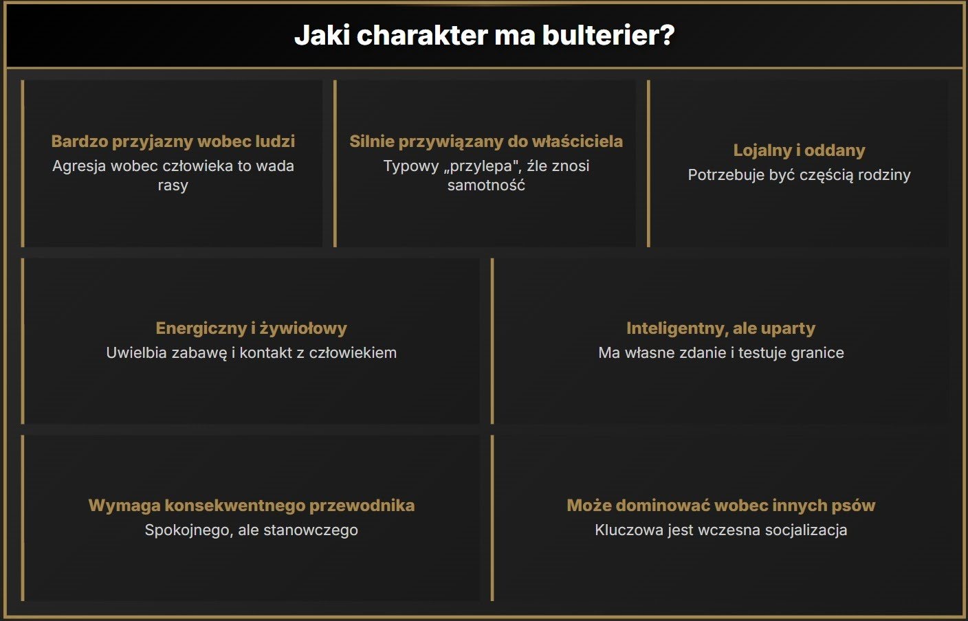 Jaki charakter ma bulterier?