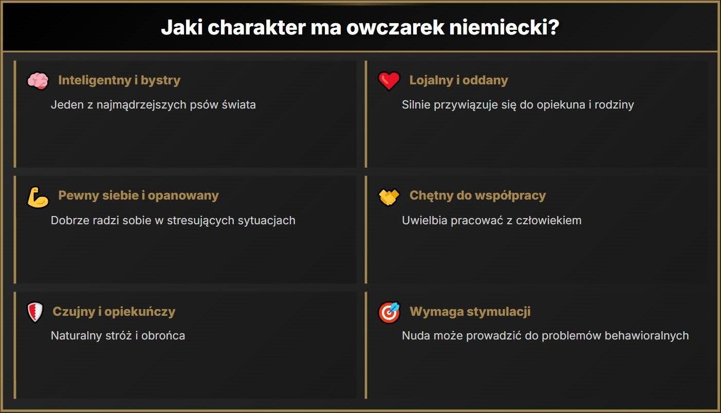 Jaki charakter ma owczarek niemiecki?