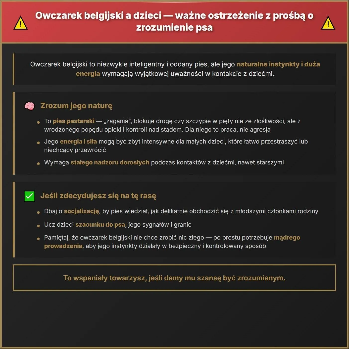 Owczarek belgijski a dzieci - ważne ostrzeżenie z prośbą o zrozumienie psa