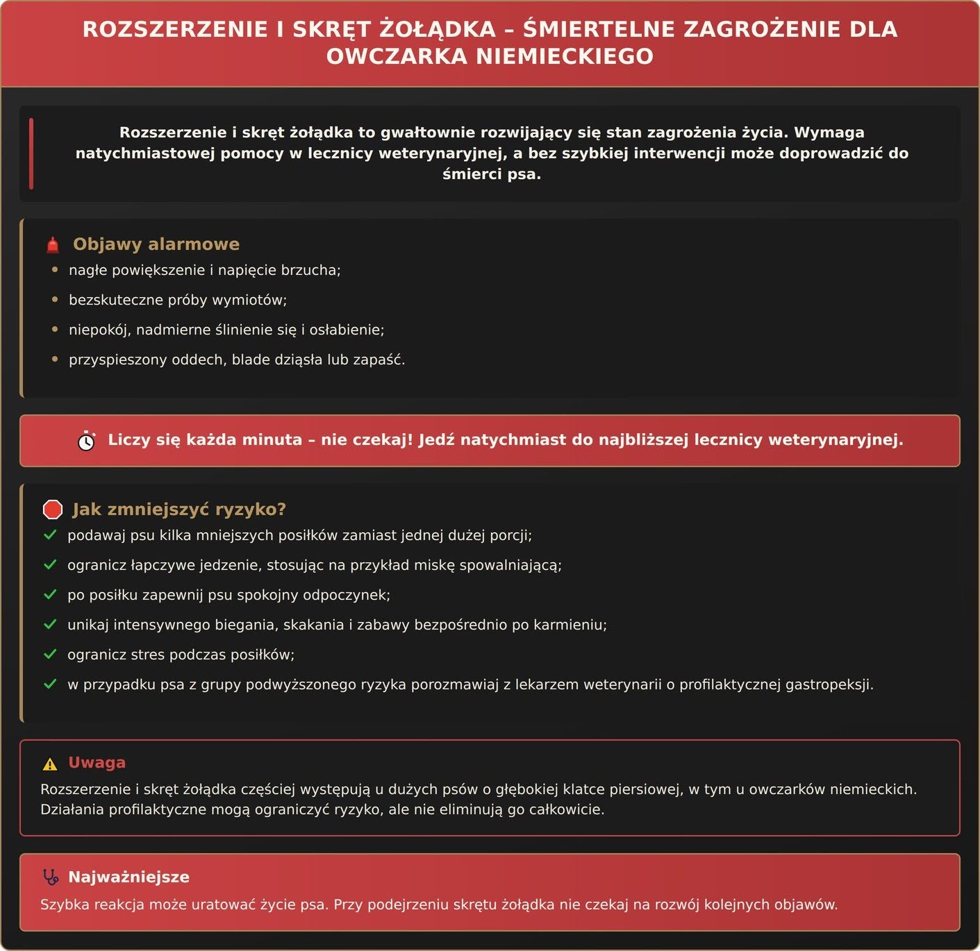 Rozszerzenie i skręt żołądka - śmiertelne zagrożenie dla owczarka niemieckiego