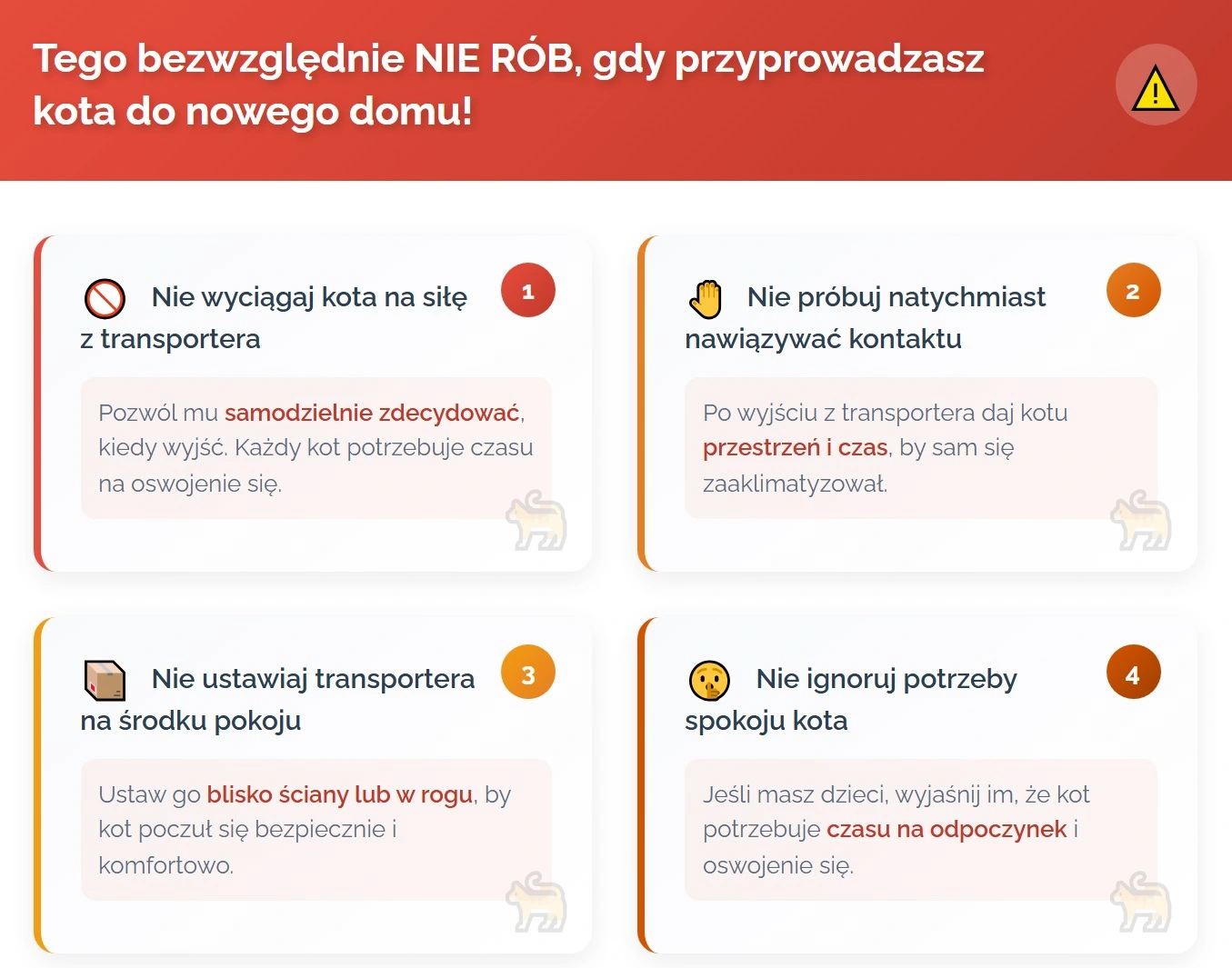 Tego bezwzględnie nie rób, gdy przyprowadzasz kota do nowego domu