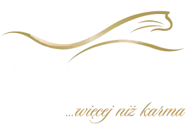 Dolina Noteci logo