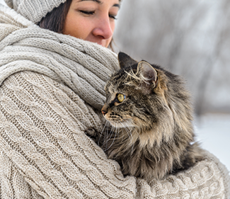 IkonaJak pomóc kotom wolno żyjącym przetrwać zimę?