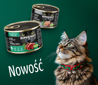 IkonaŚwiąteczna nowość Super Rafi Cat