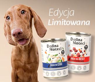 IkonaWyłącznie u nas 