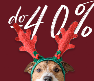 IkonaGrudniowe promocje