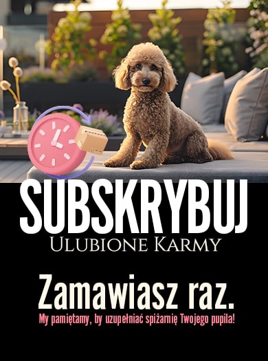 Zakupy subskrypcyjne