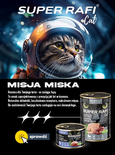 Super Rafi nowości dla kota