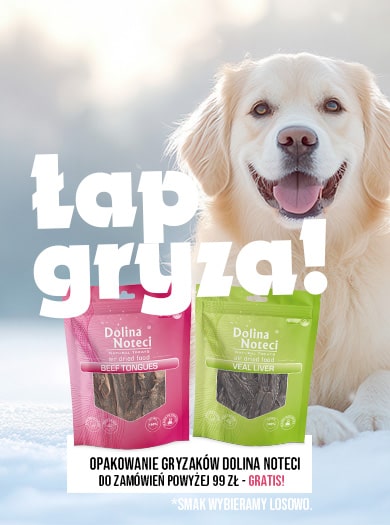 Gryzak Dolina Noteci gratis