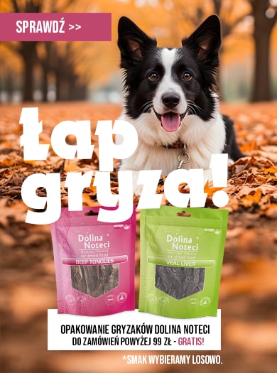 Gryzak Dolina Noteci gratis