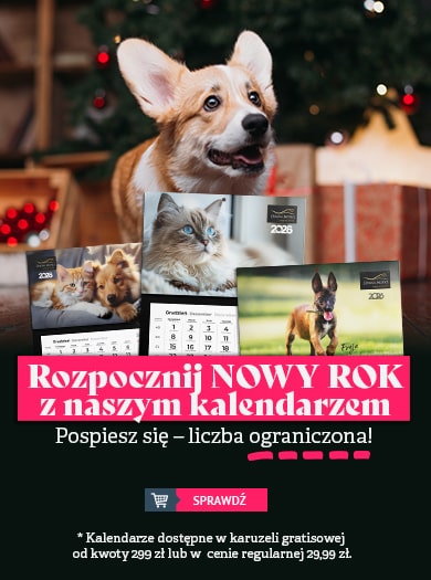 Kalendarze trójdzielne