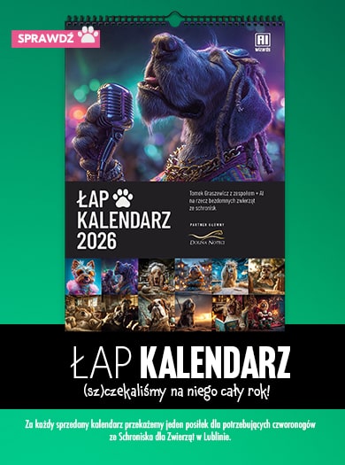 Kalendarze Dolina Noteci x AI Wizards