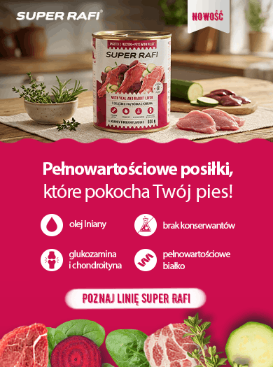 Super Rafi Nowość dla psa