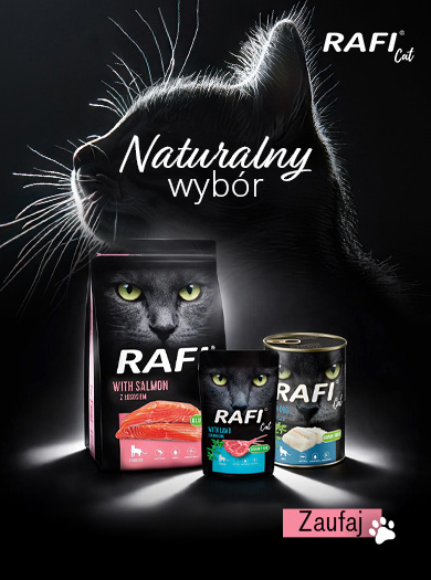 Rafi Cat karma dla kota - naturalny wybór