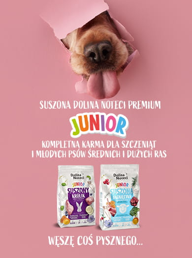 Dolina Noteci Premium Junior - karma dla szczeniąt i młodych psów