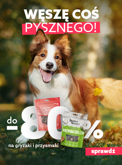 Przysmaki Dolina Noteci Promocja -80%