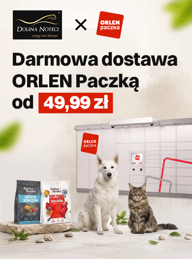 Dolina Noteci x Orlen Paczka
