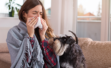 Czy grypa jest groźna dla psa i kota