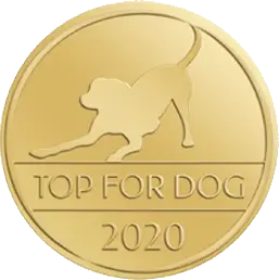 Top For Dog 2020