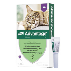 Elanco Advantage Krople na pchły dla kotów od 4 kg 0,8 ml 4 szt.