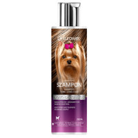 Eurowet dla yorków do długich włosów