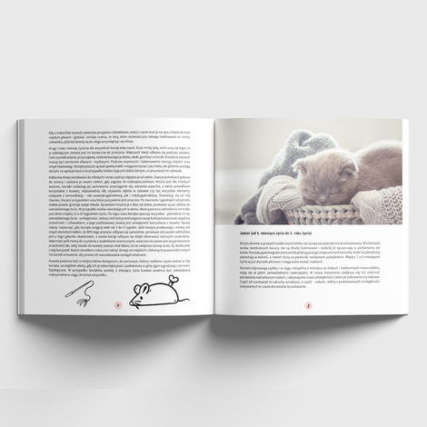 Dolina Noteci Poradnik dla opiekuna kota