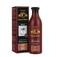 Champ-Richer dla szczeniąt rasy shih tzu