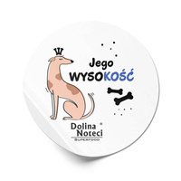 Jego wysokość