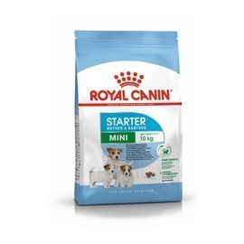 Royal Canin Starter Mini Karma sucha dla psa 1 kg