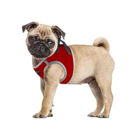 CHABA Szelki dla psa Protect intensywna czerwień XL