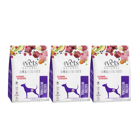 4Vets Natural Gastro Intestinal karma suszona dla psów z zaburzeniami trawienia zestaw 3 x 1 kg