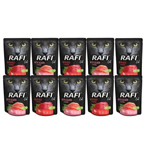 Mokra karma dla kota Rafi Cat mix smaków 10 x 300 g