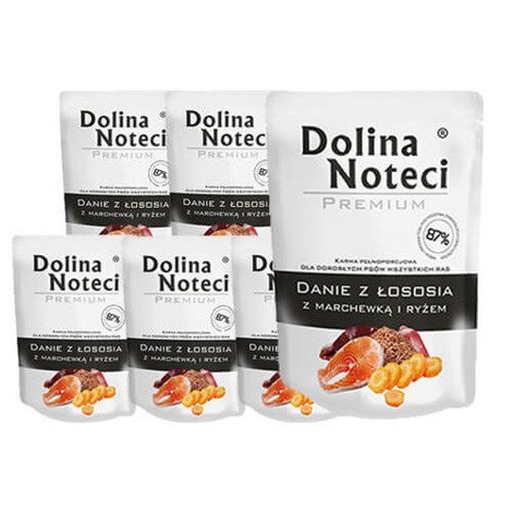 Mokra karma dla psów Dolina Noteci Premium Danie z łososia z marchewką i ryżem zestaw 10 x 300 g